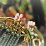 Музика волі і віри: завершальні акорди культурно-мистецької акції  у Каштановому сквері