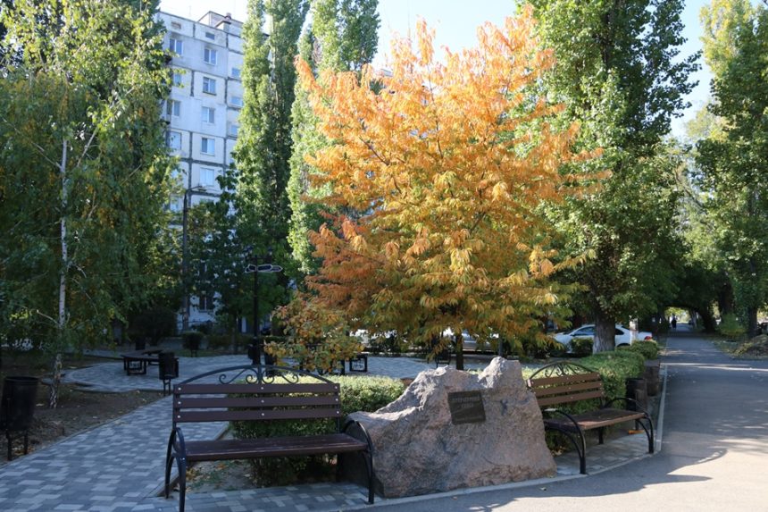 Дев’ять «іменних» дерев і культурне дозвілля миколаївців: єдиному в Україні Літературному скверу виповнюється 10 років